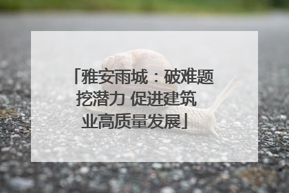 雅安雨城：破难题 挖潜力 促进建筑业高质量发展